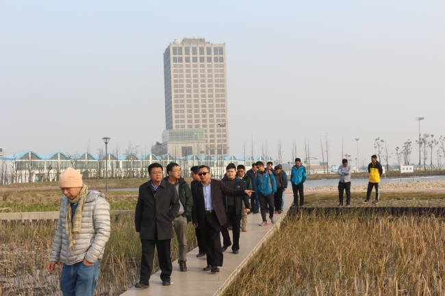 参观鹦鹉洲湿地工程现场3