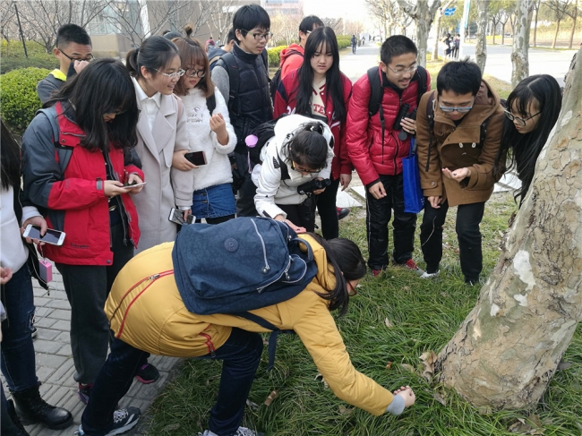 04同学们寻找麦冬果实