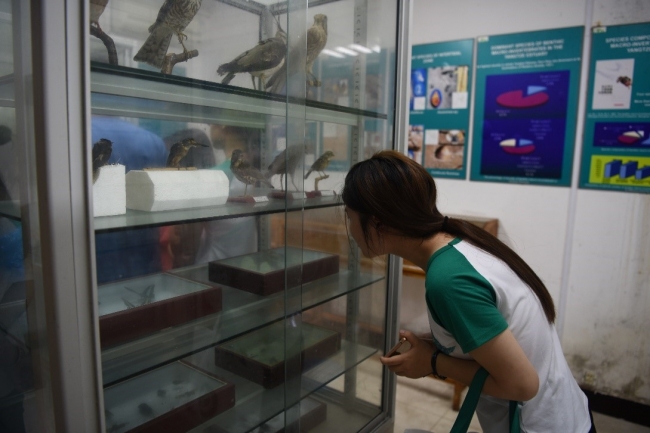 3观察标本的营员 3观察标本的营员